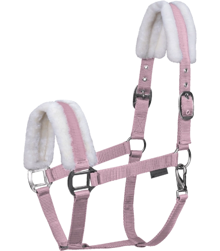Kantar-WALDHAUSEN-First-Halter-cherry-blossom-01