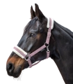 Kantar-WALDHAUSEN-First-Halter-cherry-blossom-02