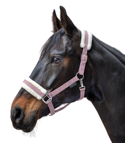 Kantar-WALDHAUSEN-First-Halter-cherry-blossom-02