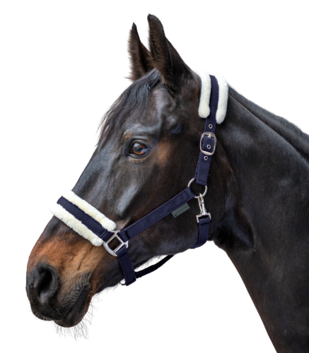 Kantar-WALDHAUSEN-First-Halter-night-blue-02