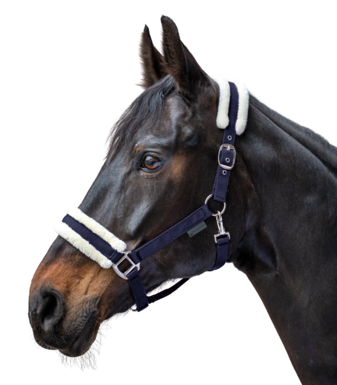 Kantar-WALDHAUSEN-First-Halter-night-blue-02