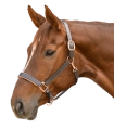 Kantar-skorzany-WALDHAUSEN-X-Line-Leather-Rose-brown-02
