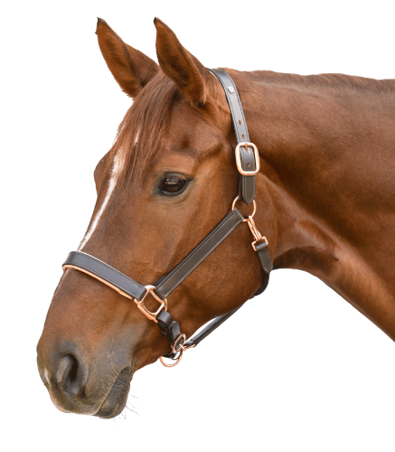 Kantar-skorzany-WALDHAUSEN-X-Line-Leather-Rose-brown-02