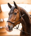 Kantar-sznurkowy-WALDHAUSEN-Knotted-Halter-02