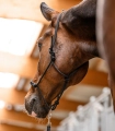 Kantar-sznurkowy-WALDHAUSEN-Knotted-Halter-03