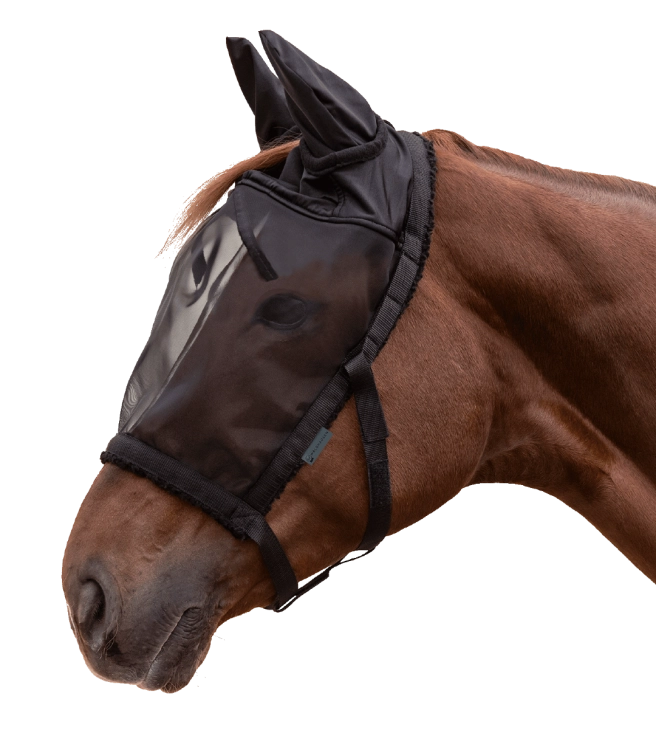 Kantar-z-maska-WALDHAUSEN-Pasture-Halter-black-01