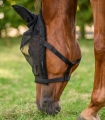 Kantar-z-maska-WALDHAUSEN-Pasture-Halter-black-02