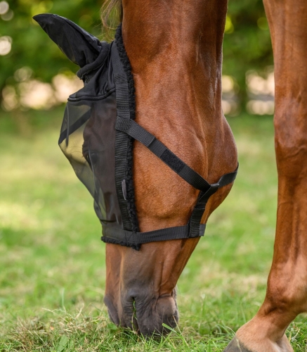 Kantar-z-maska-WALDHAUSEN-Pasture-Halter-black-02