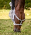 Kantar-z-maska-WALDHAUSEN-Pasture-Halter-silver-grey-05
