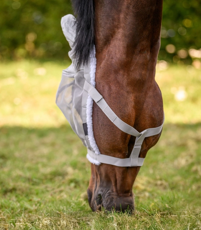 Kantar-z-maska-WALDHAUSEN-Pasture-Halter-silver-grey-05