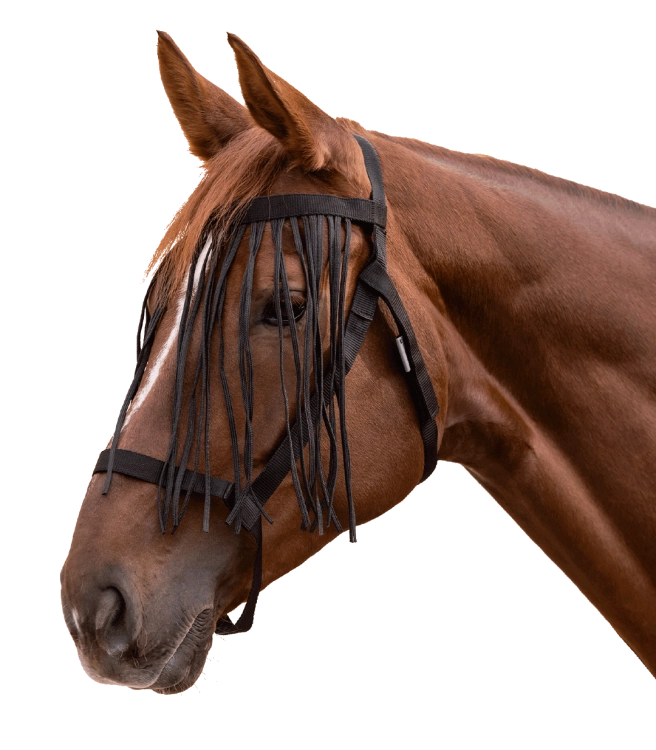 Kantar-z-fredzlami-WALDHAUSEN-Fly-Fringes-black-01