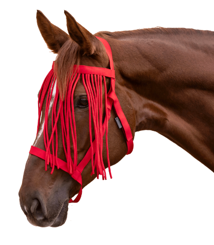 Kantar-z-fredzlami-WALDHAUSEN-Fly-Fringes-red-01
