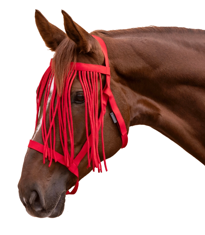 Kantar-z-fredzlami-WALDHAUSEN-Fly-Fringes-red-01