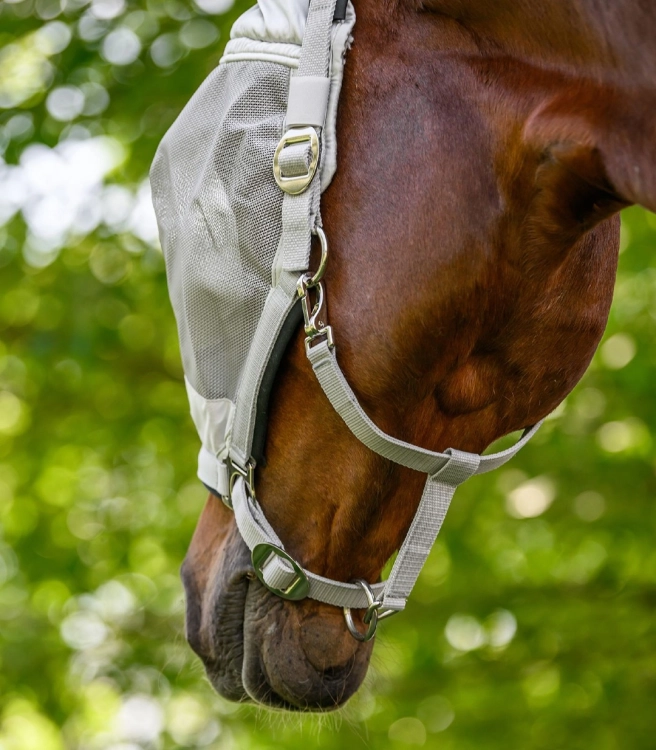 Kantar-z-maska-WALDHAUSEN-Premium-Fly-Mask-silver-grey-06