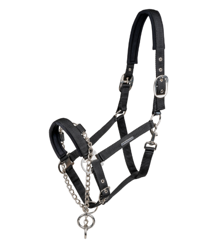 Kantar-z-lancuszkiem-WALDHAUSEN-Control-Halter-01