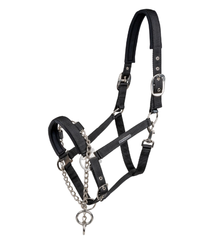 Kantar-z-lancuszkiem-WALDHAUSEN-Control-Halter-01
