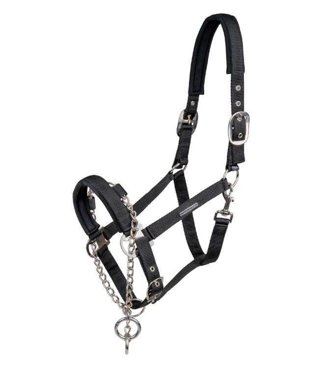 Kantar-z-lancuszkiem-WALDHAUSEN-Control-Halter-01