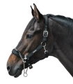 Kantar-z-lancuszkiem-WALDHAUSEN-Control-Halter-02