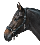 Kantar-z-lancuszkiem-WALDHAUSEN-Control-Halter-02