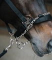 Kantar-z-lancuszkiem-WALDHAUSEN-Control-Halter-03