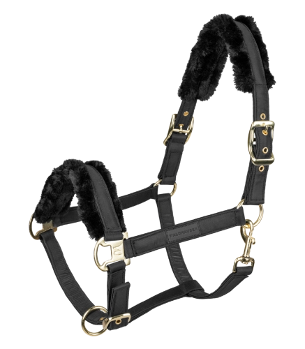 Kantar-WALDHAUSEN-Exclusive-black/black-01