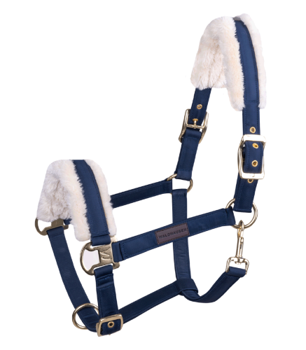 Kantar-WALDHAUSEN-Exclusive-night-blue-beige-01