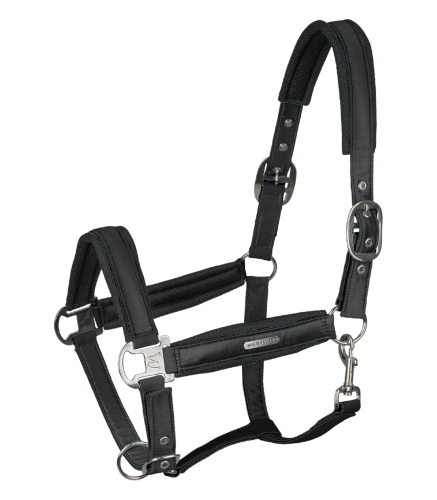 Kantar-WALDHAUSEN-Breath-black-01