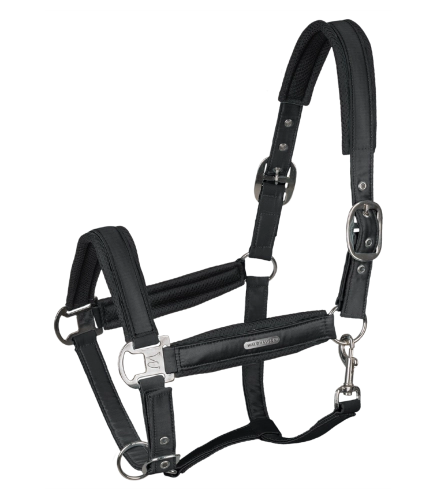 Kantar-WALDHAUSEN-Breath-black-01