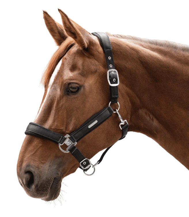 Kantar-WALDHAUSEN-Breath-black-02