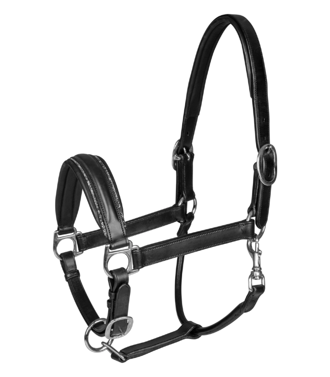 Kantar-skorzany-WALDHAUSEN-S-Line-Glamour-Leather-01