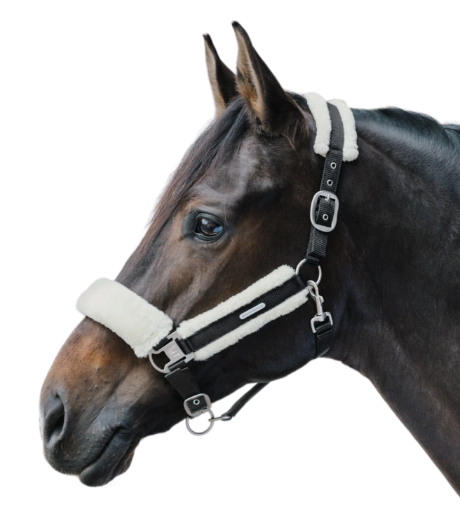Kantar-WALDHAUSEN-Soft-black-013