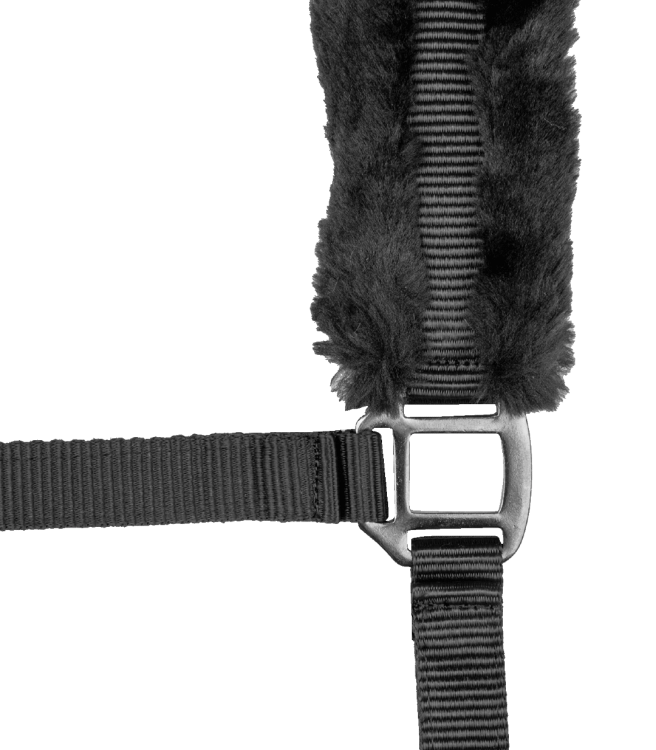 Kantar-WALDHAUSEN-Modern-Rose-black/anthracit-02
