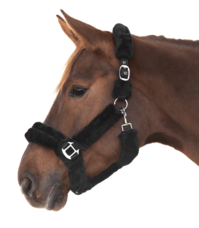 Kantar-WALDHAUSEN-Cozy-black/silver-02
