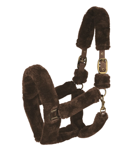 Kantar-WALDHAUSEN-Cozy-brown-gold-01
