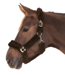 Kantar-WALDHAUSEN-Cozy-brown-gold-02