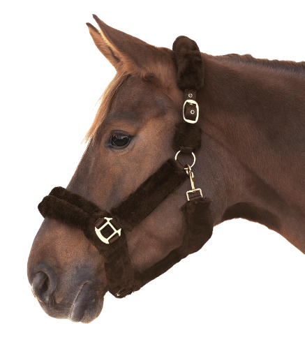 Kantar-WALDHAUSEN-Cozy-brown-gold-02