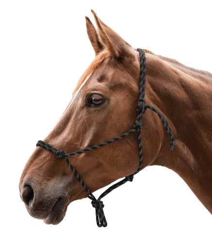 Kantar-sznurkowy-WALDHAUSEN-Knotted-Halter-black/brown-02