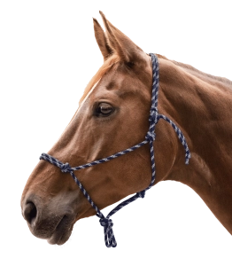 Kantar sznurkowy WALDHAUSEN "Knotted Halter" night blue/silver
