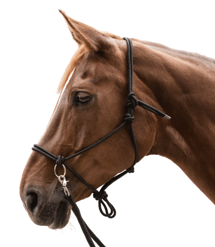 Kantar-sznurkowy-z-wodzami-WALDHAUSEN-Knotted-Halter-with-Reins-black-02