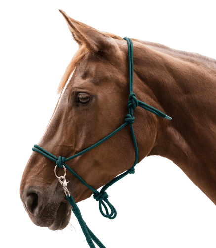 Kantar-sznurkowy-z-wodzami-WALDHAUSEN-Knotted-Halter-with-Reins-fir-green-02
