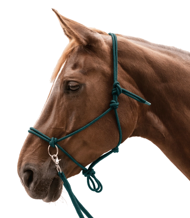 Kantar-sznurkowy-z-wodzami-WALDHAUSEN-Knotted-Halter-with-Reins-fir-green-02