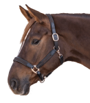 Kantar-STAR-Mix-brown/rosegold-02