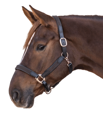 Kantar-STAR-Mix-brown/rosegold-02
