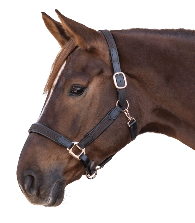 Kantar-STAR-Mix-brown/rosegold-02