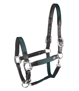 Kantar STAR "Mix" fir green/silver