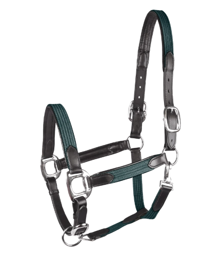 Kantar-STAR-Mix-fir-green/silver-01