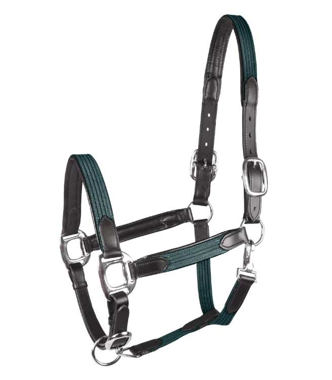 Kantar-STAR-Mix-fir-green/silver-01