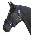 5047505-VB_22_1920x1920.png