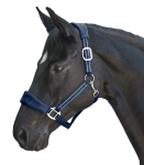 5047505-VB_22_1920x1920.png