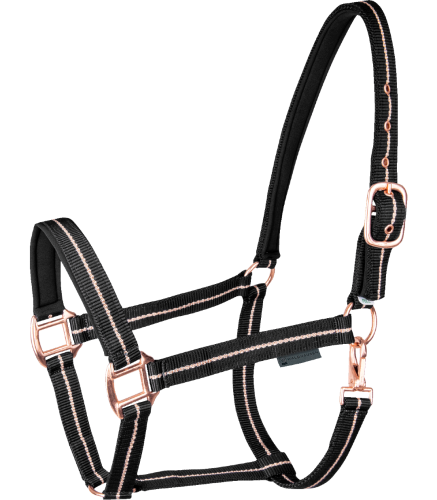 Kantar-WALDHAUSEN-Rose-black-01